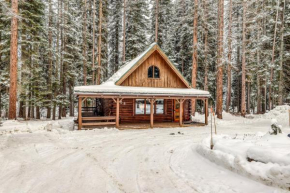 Forest Cabin